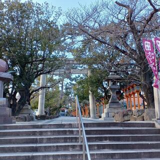 素盞烏尊神社 片山神社の写真17