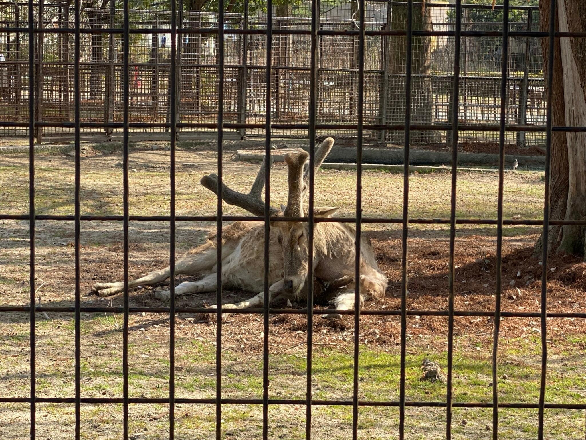 熊本市動植物園の代表写真10