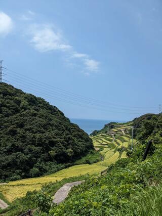 浜野浦の棚田展望台のクチコミ写真3