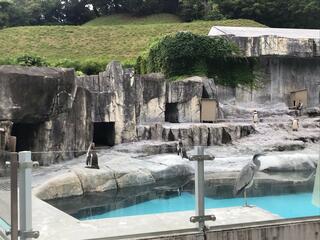 愛媛県立とべ動物園のクチコミ写真2