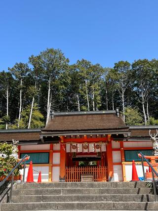 大原野神社のクチコミ写真2