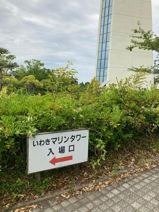 三崎公園 いわきマリンタワーのクチコミ写真4