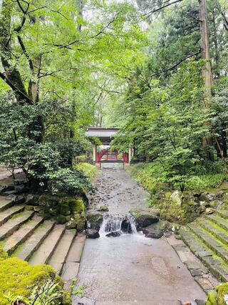 越後一宮 彌彦神社のクチコミ写真1