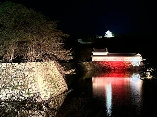 近江ダイニング 橘菖のクチコミ写真6