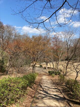 茅ヶ崎公園のクチコミ写真2