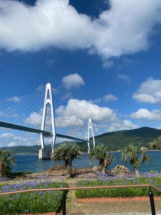 大島大橋のクチコミ写真1