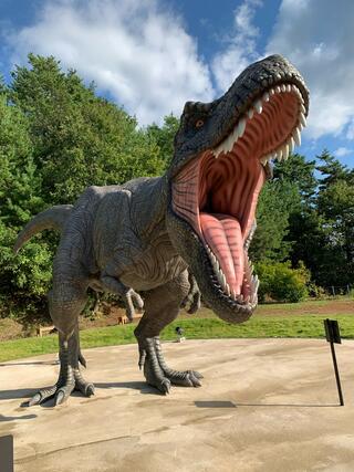 福井県立恐竜博物館のクチコミ写真4