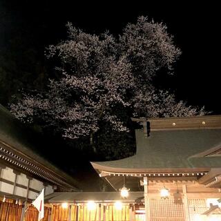 駒形神社のクチコミ写真1