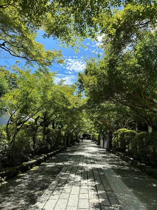 石山寺のクチコミ写真4