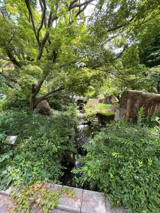 草津市立水生植物公園みずの森のクチコミ写真9