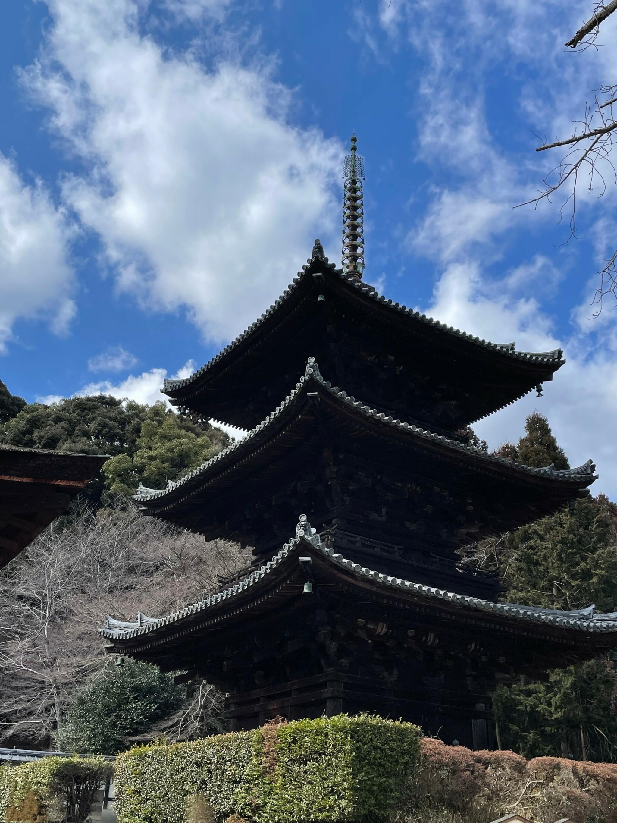 三井寺(園城寺)の代表写真9