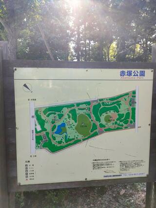 赤塚公園のクチコミ写真5