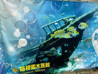 箱根園水族館のクチコミ写真3