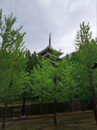 大師山清大寺のクチコミ写真8