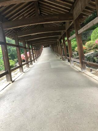 吉備津神社のクチコミ写真7