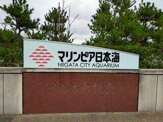 新潟市水族館 マリンピア日本海のクチコミ写真7