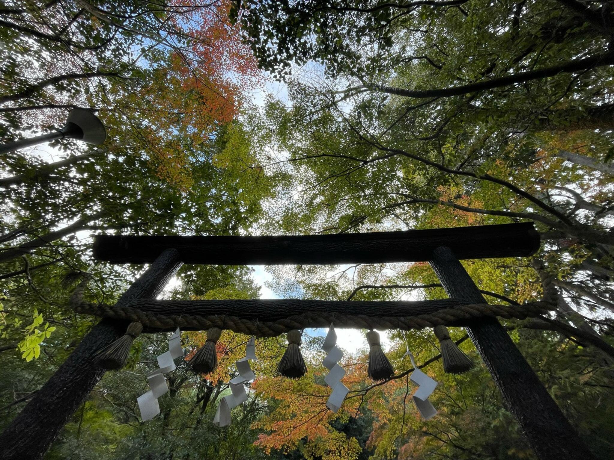 野宮神社の代表写真7