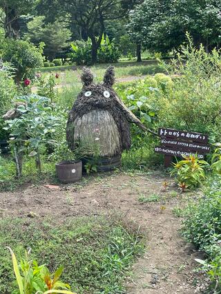 宮崎県農業科学公園 ルピナスパークのクチコミ写真1