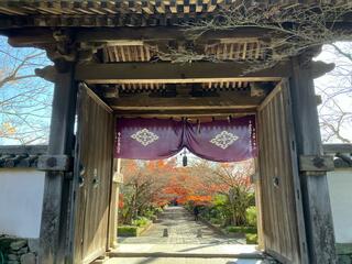 龍福寺のクチコミ写真1