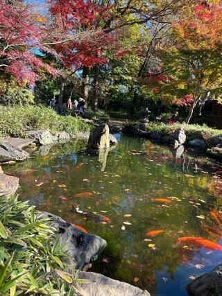 新座市睡足軒の森のクチコミ写真1