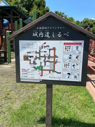 小田原こどもの森公園わんぱくらんどのクチコミ写真4