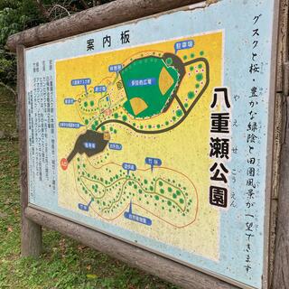 八重瀬公園の写真15
