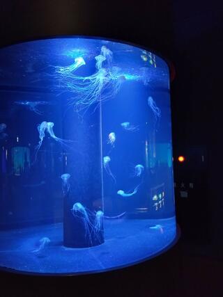 新潟市水族館 マリンピア日本海のクチコミ写真1