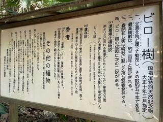 青島神社のクチコミ写真7