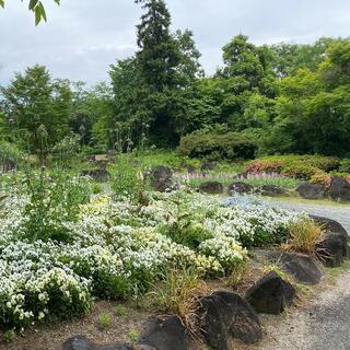 愛知県緑化センター・昭和の森のクチコミ写真5