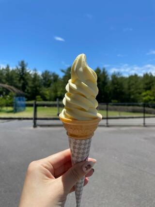 道の駅 桜島 火の島めぐみ館のクチコミ写真1