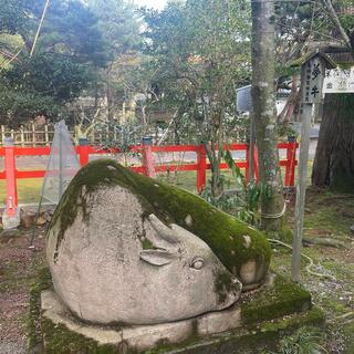 金澤神社のクチコミ写真4