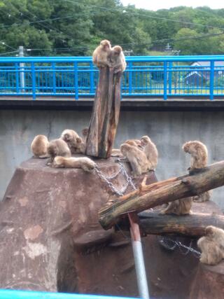 福知山市動物園のクチコミ写真1