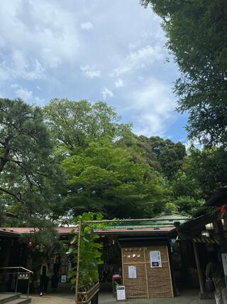小石川後楽園のクチコミ写真10
