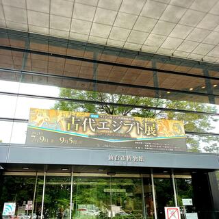 仙台市博物館の写真19