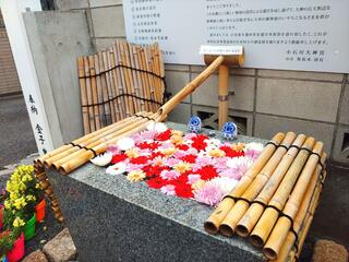 小石川大神宮のクチコミ写真2