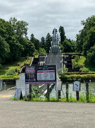 県民公園太閤山ランドのクチコミ写真6