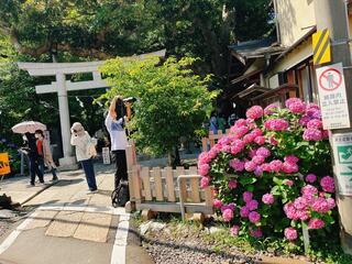 御霊神社のクチコミ写真2