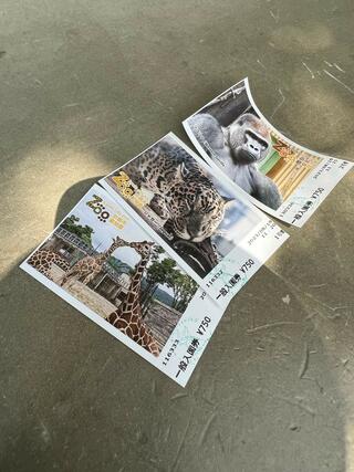 京都市動物園のクチコミ写真2