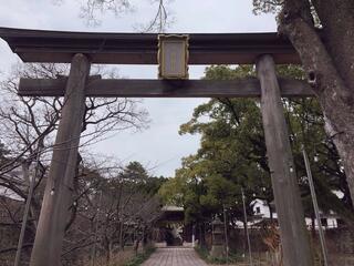 八坂神社のクチコミ写真3