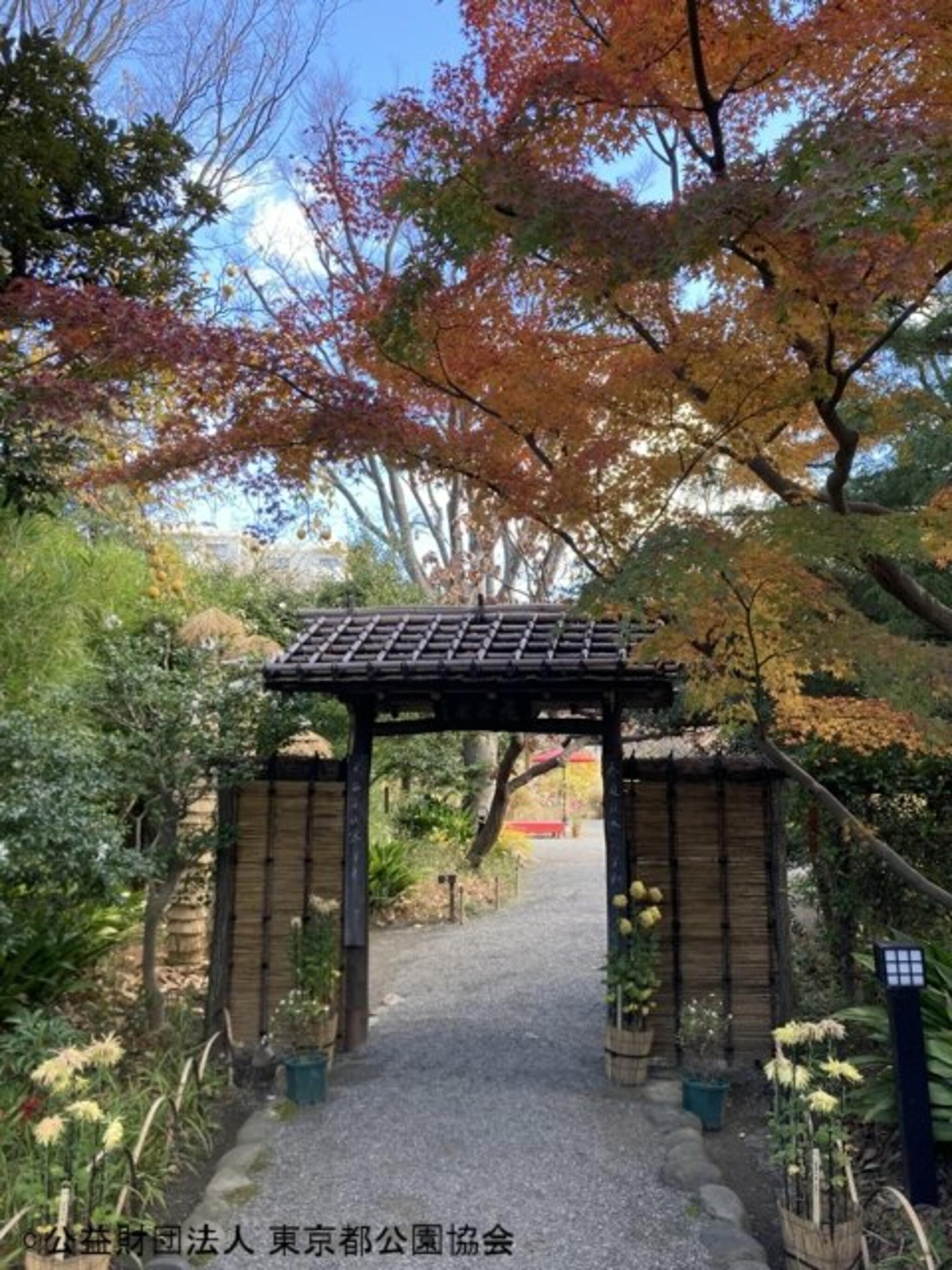 向島百花園の代表写真5