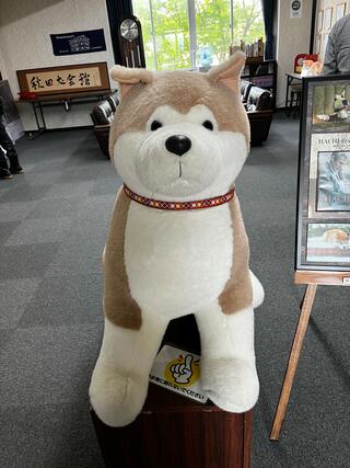 秋田犬会館のクチコミ写真3