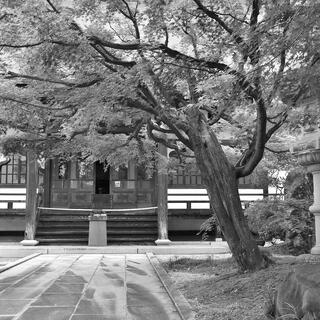 能成寺の写真1