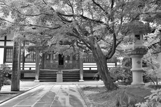 能成寺のクチコミ写真3