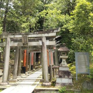 東福寺のクチコミ写真9
