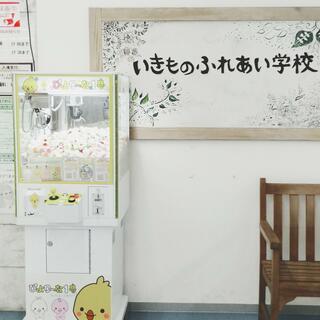 いきものふれあい学校 松山店の写真24