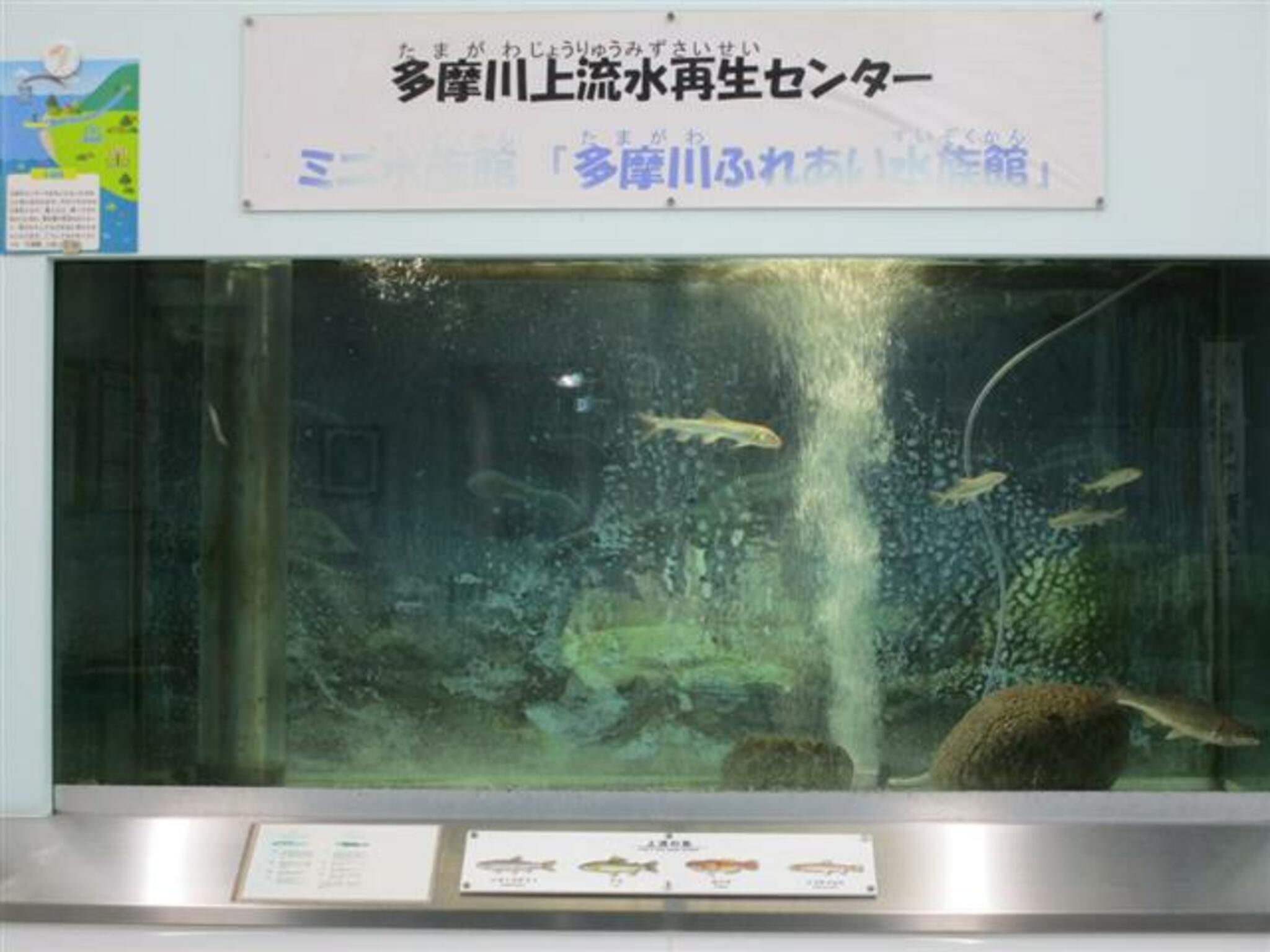 多摩川ふれあい水族館の代表写真6