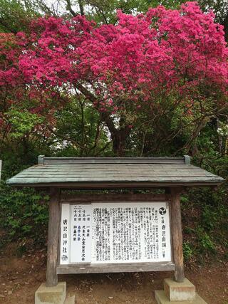 唐澤山神社のクチコミ写真5