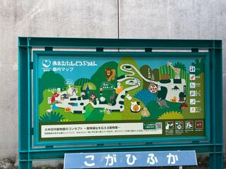 大牟田市動物園のクチコミ写真1
