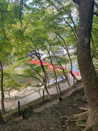 香嵐渓のクチコミ写真1