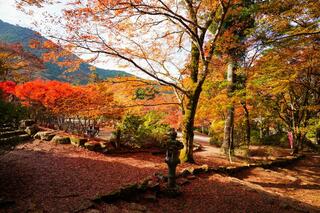 高源寺のクチコミ写真5